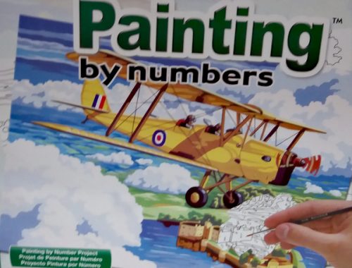 Paint by Numbers biplane at Art and Craft Valley Coulsdon
